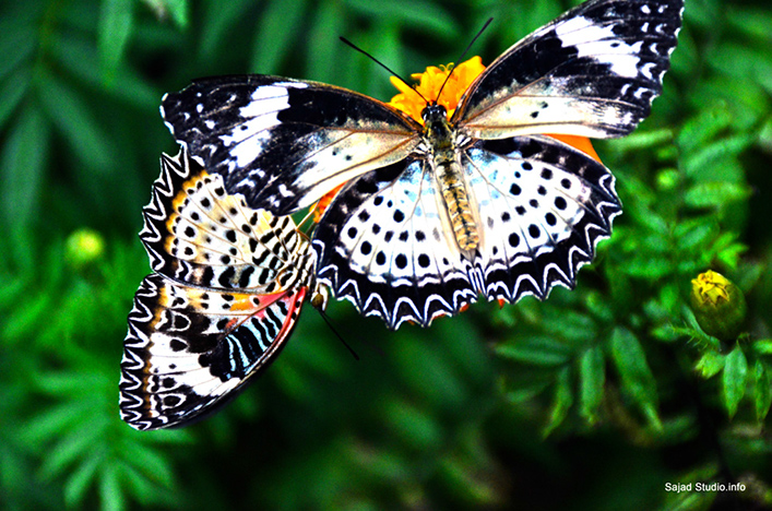 %_tempFileNamerama-rama%202%