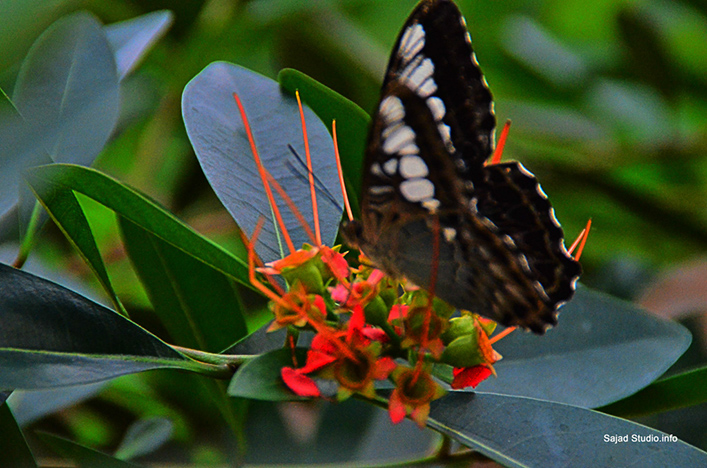 %_tempFileNamerama-rama%207%